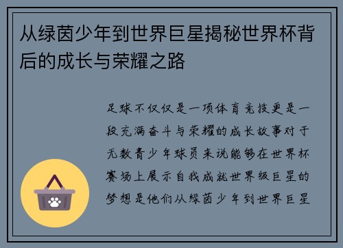 从绿茵少年到世界巨星揭秘世界杯背后的成长与荣耀之路